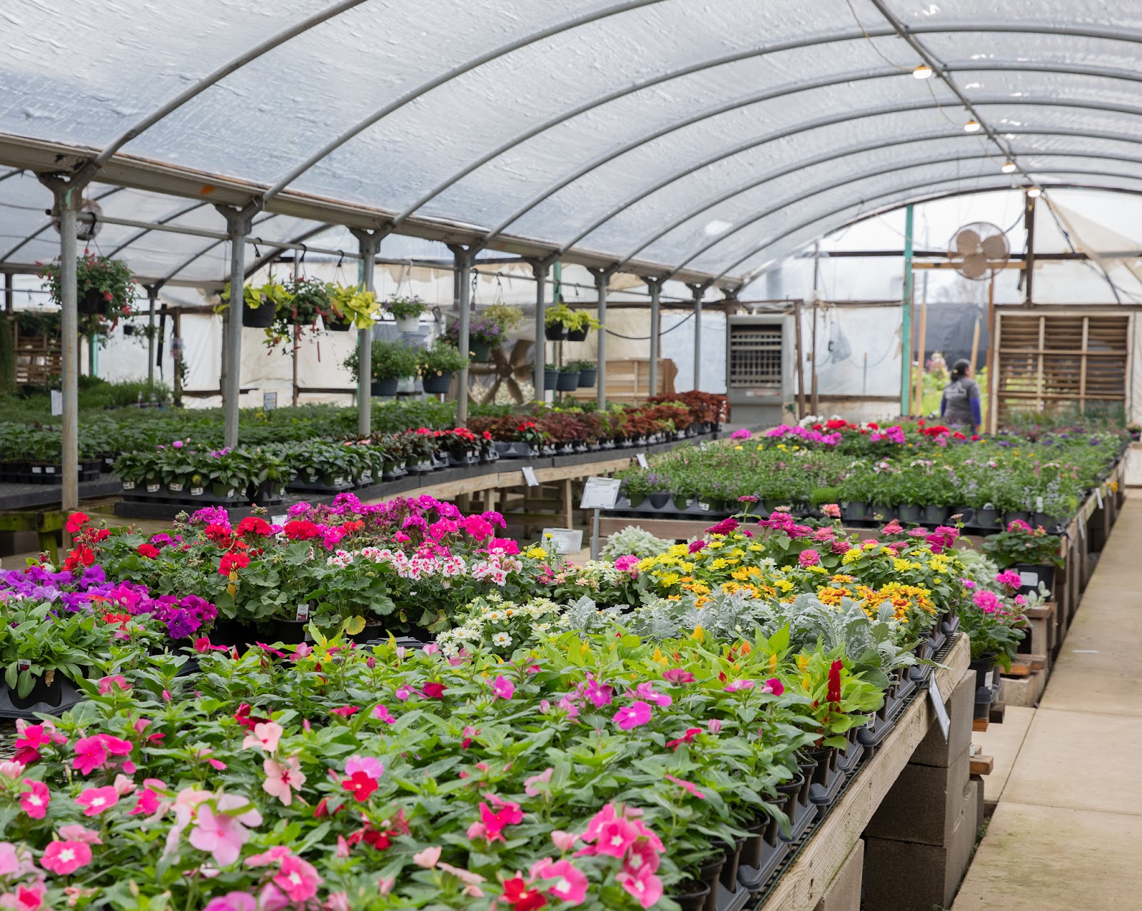 Hughes Plant Farm