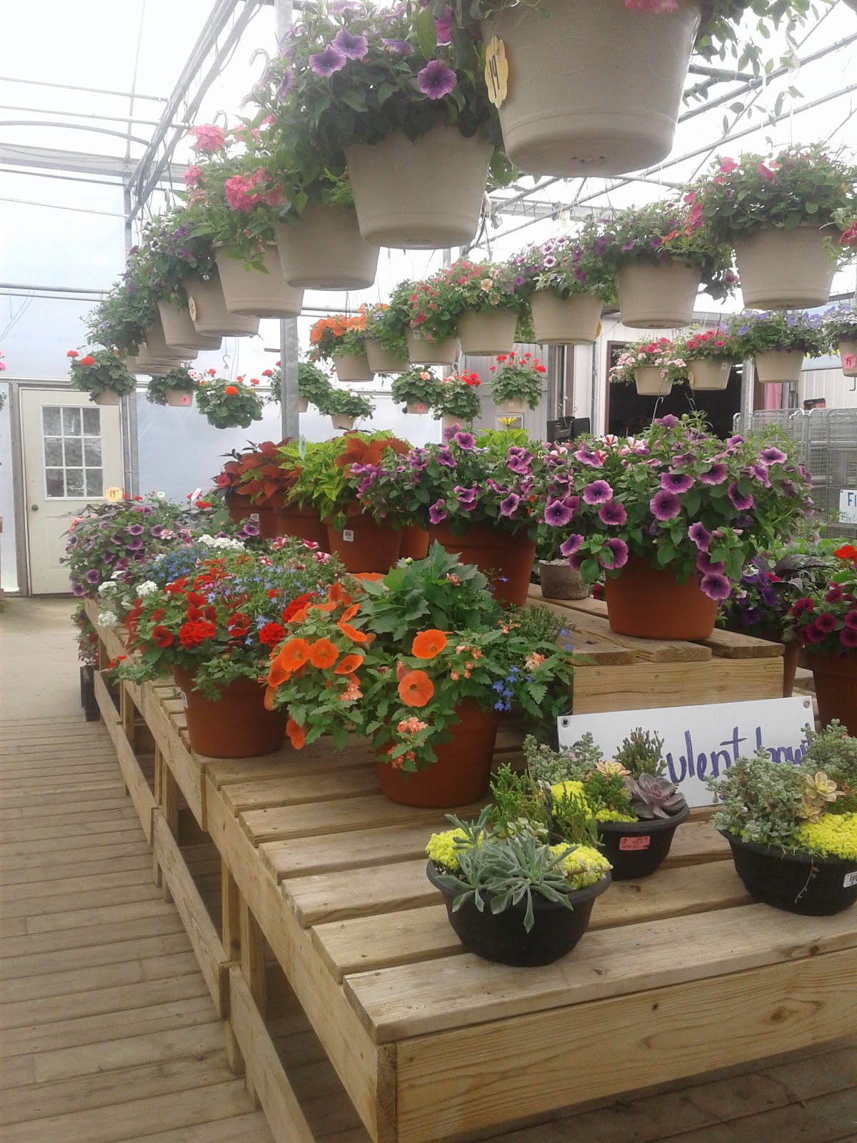 Huizenga Bros. Greenhouses Inc.