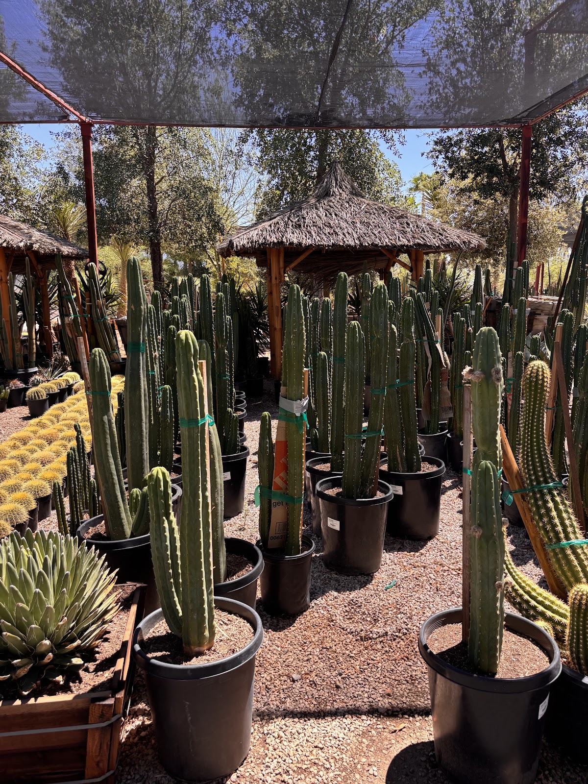 Hurley's Nursery