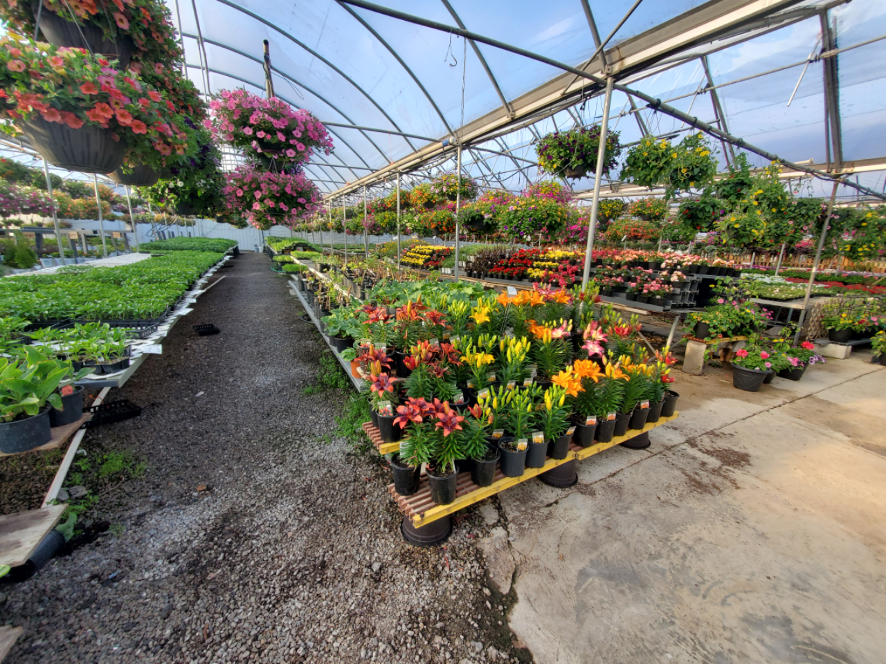 Hurshtown Gardens