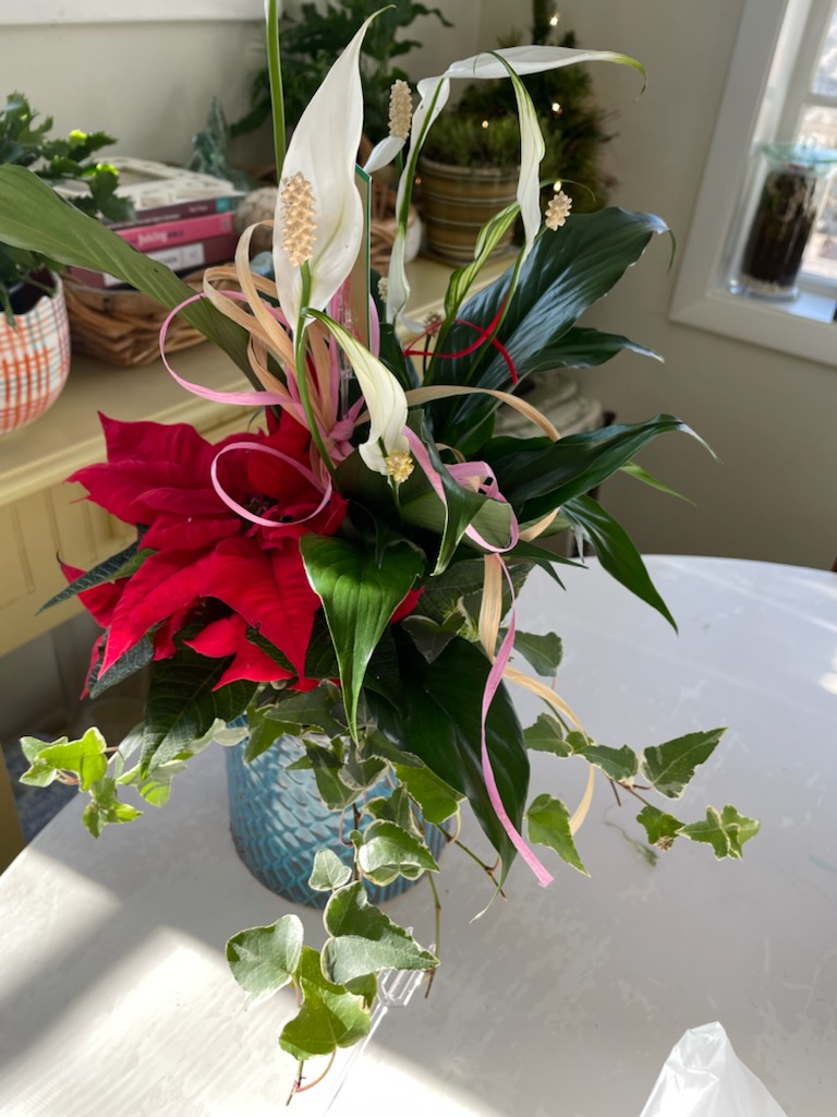 In Full Bloom Container Gardens