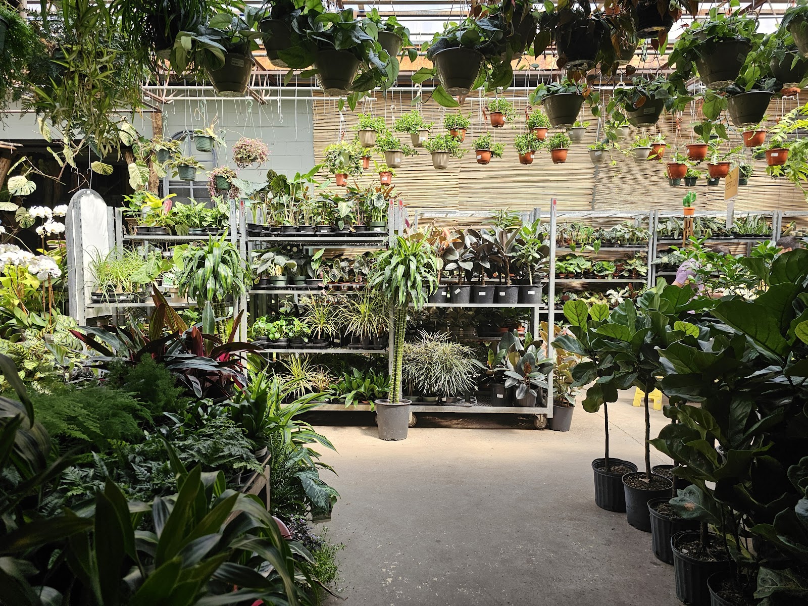 Indoor Gardens Plant Shop