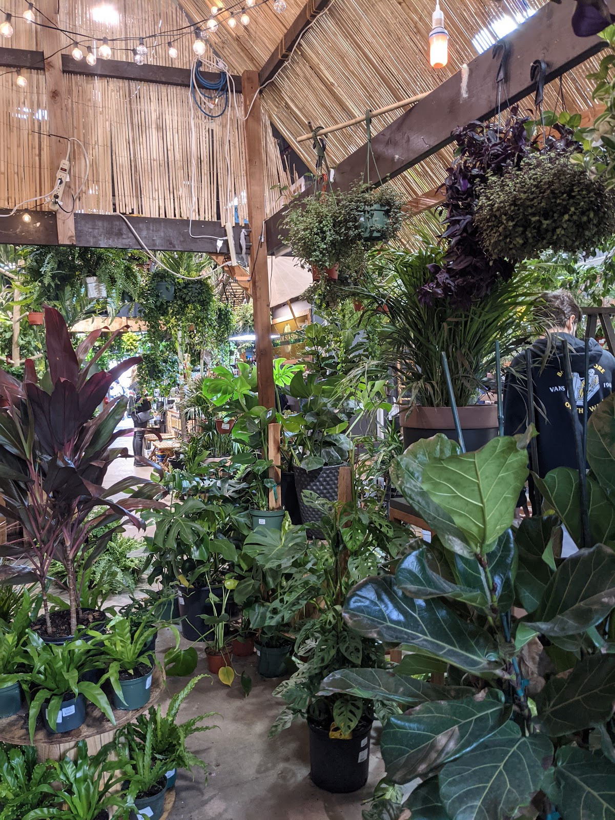 Indoor Sun Shoppe