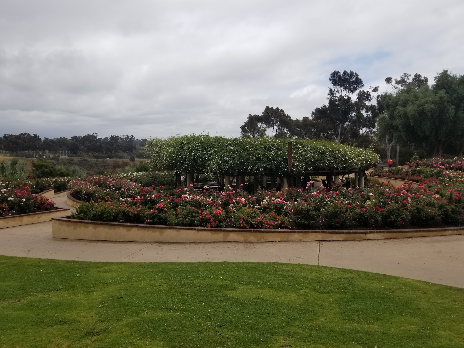 Inez Grant Parker Memorial Rose Garden