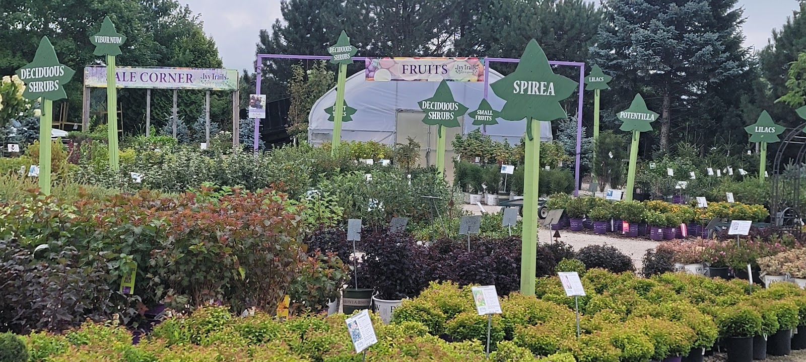 Ivy Trails Gift & Garden