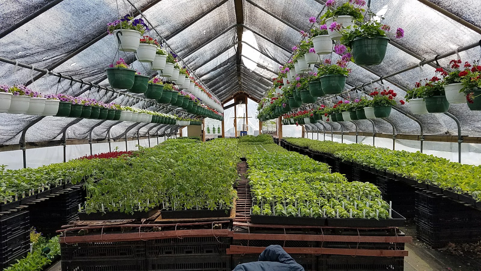 J & J Greenhouse