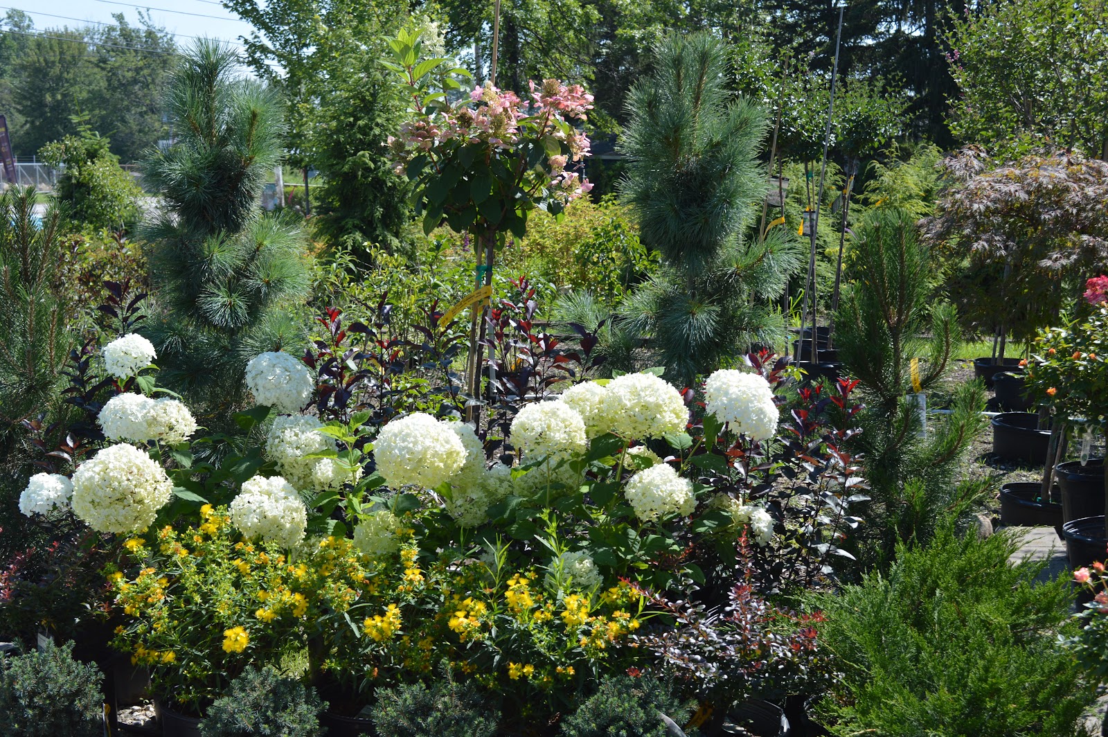J J Wurst Landscape Contractors and Garden Center