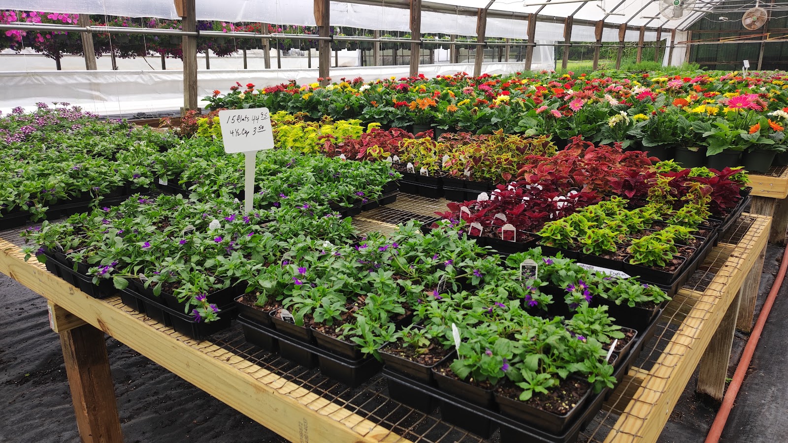 J Lane Greenhouses & Nursery