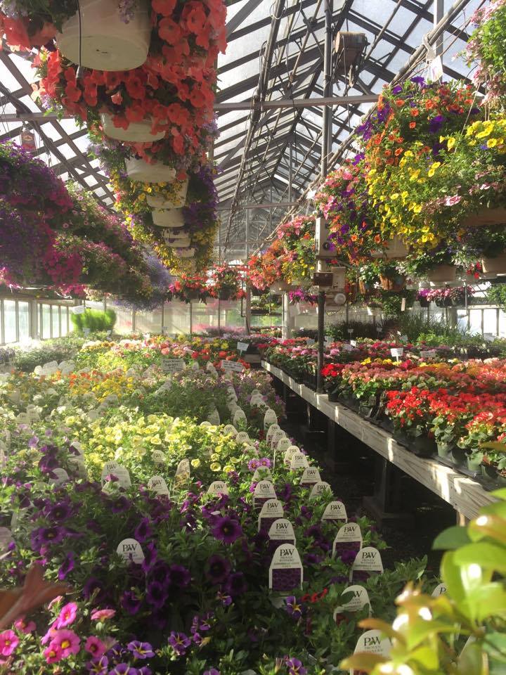 Jack's Greenhouse and Farm