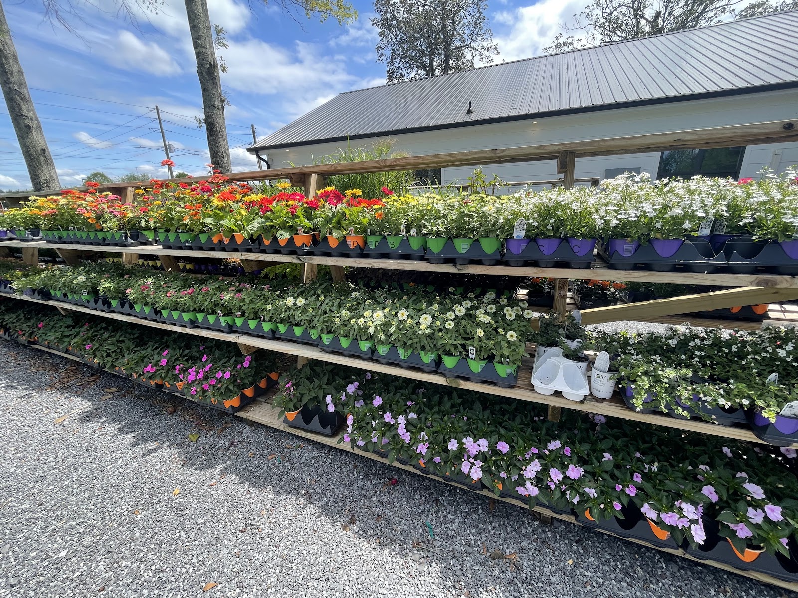 Jack's Plant and Patio