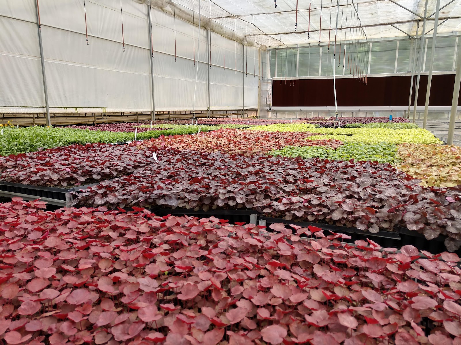 James Greenhouses