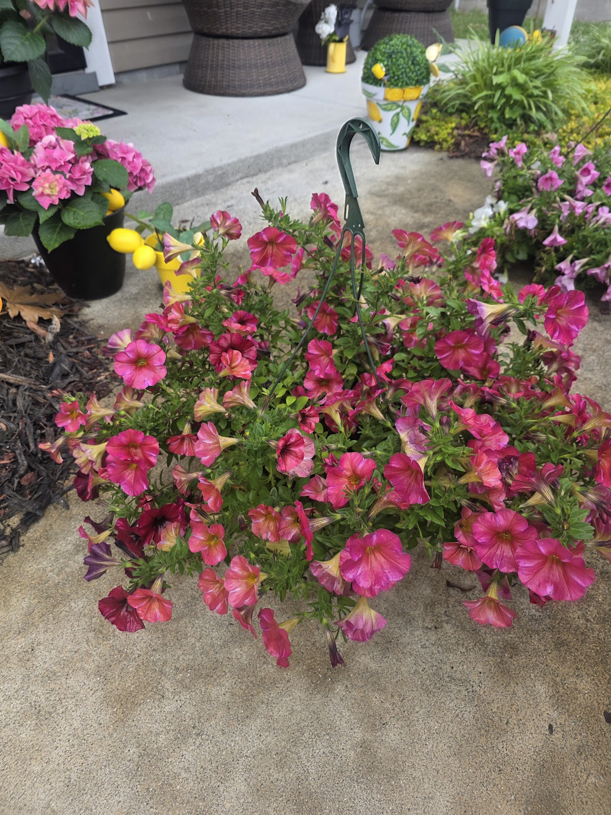 James R Linsky Plant Farm