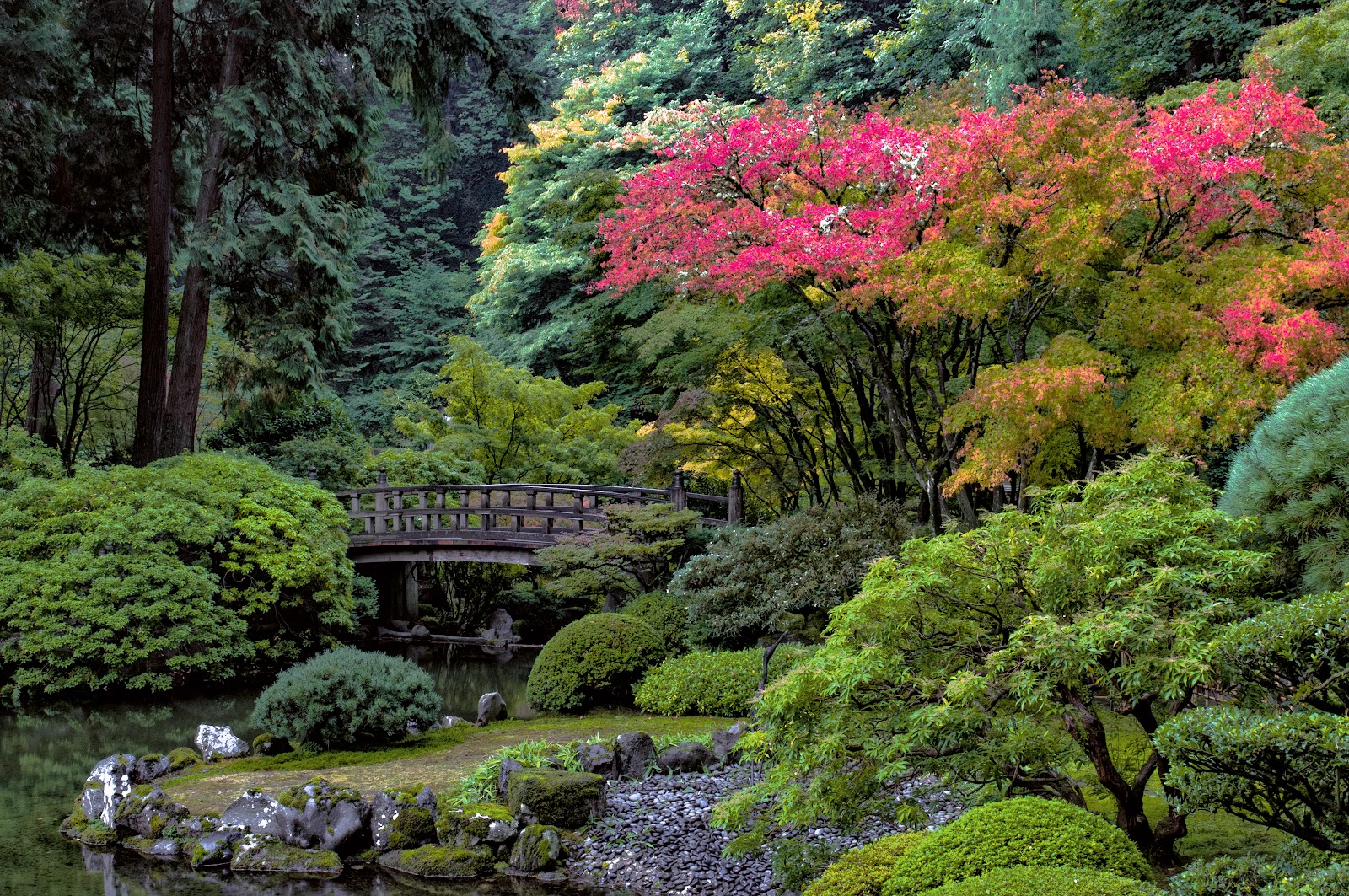 Japanese Garden