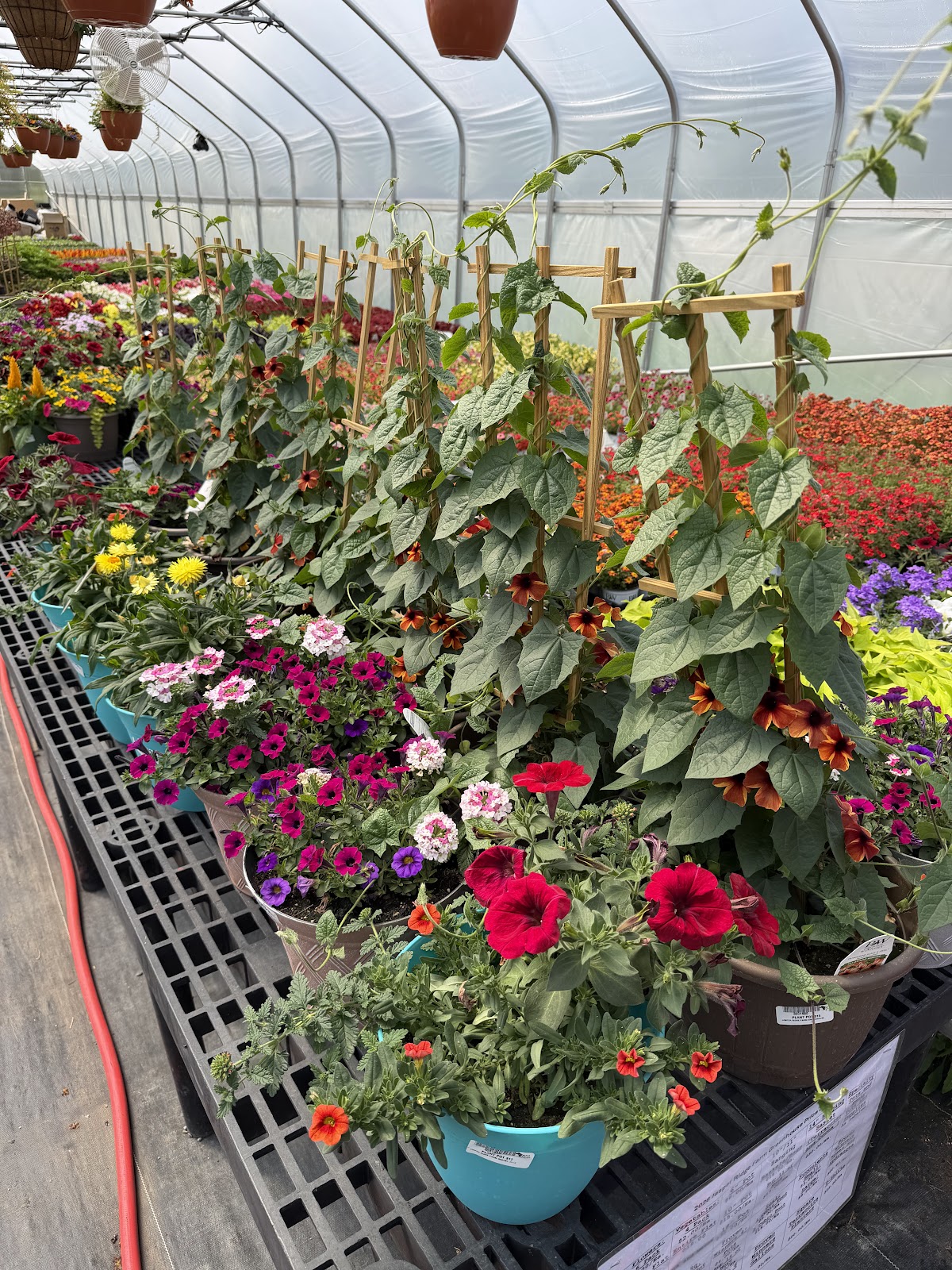 Jasper Ridge Farm Greenhouse, LLC