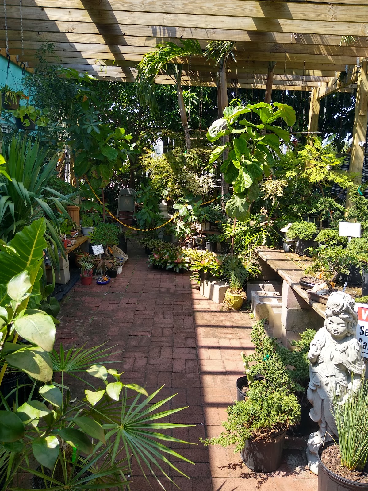 Jene's Nursery & Tropicals