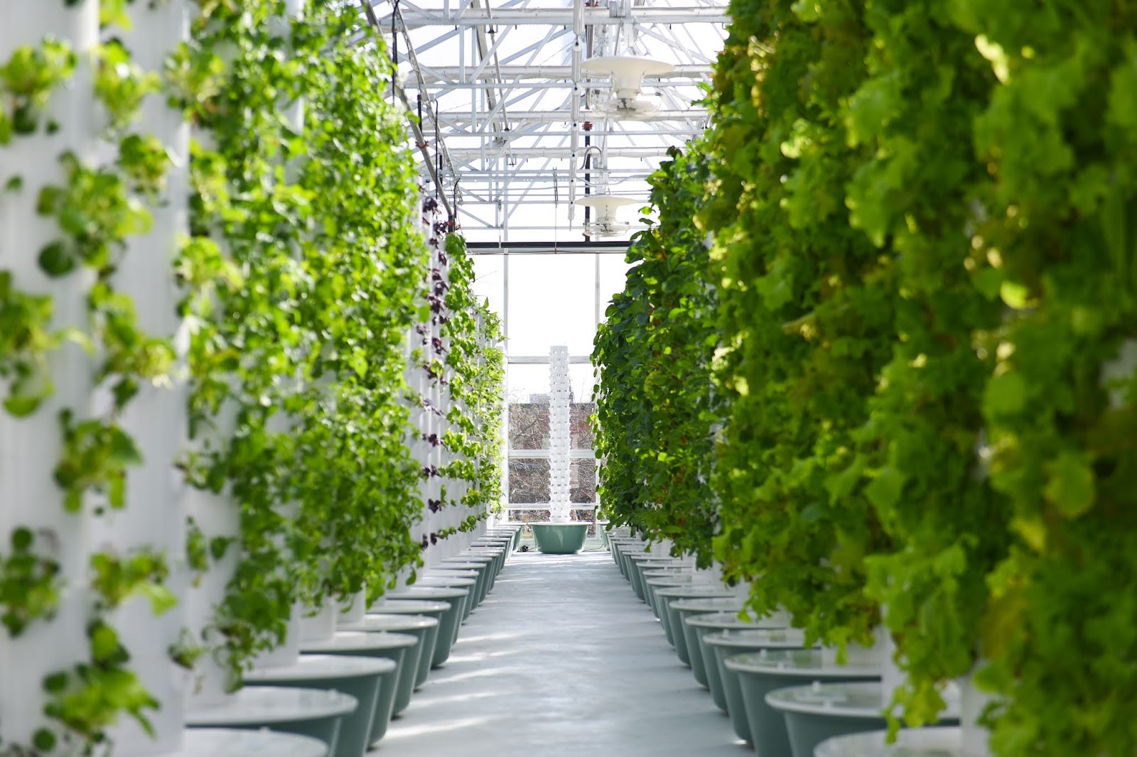 JFS Altius Farms
