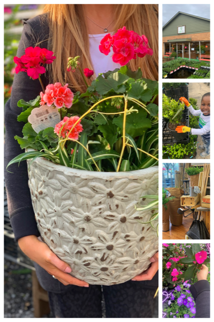 JJ's Plant House, LLC