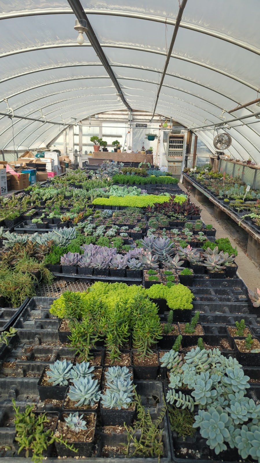 Joel's Greenhouse