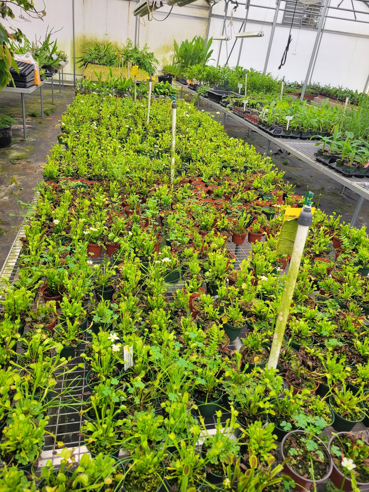 John Plank Greenhouses Inc.