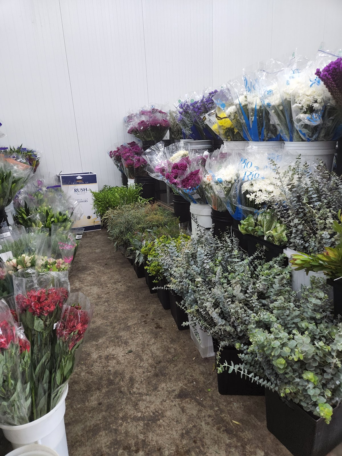Johnsen's Wholesale Florist