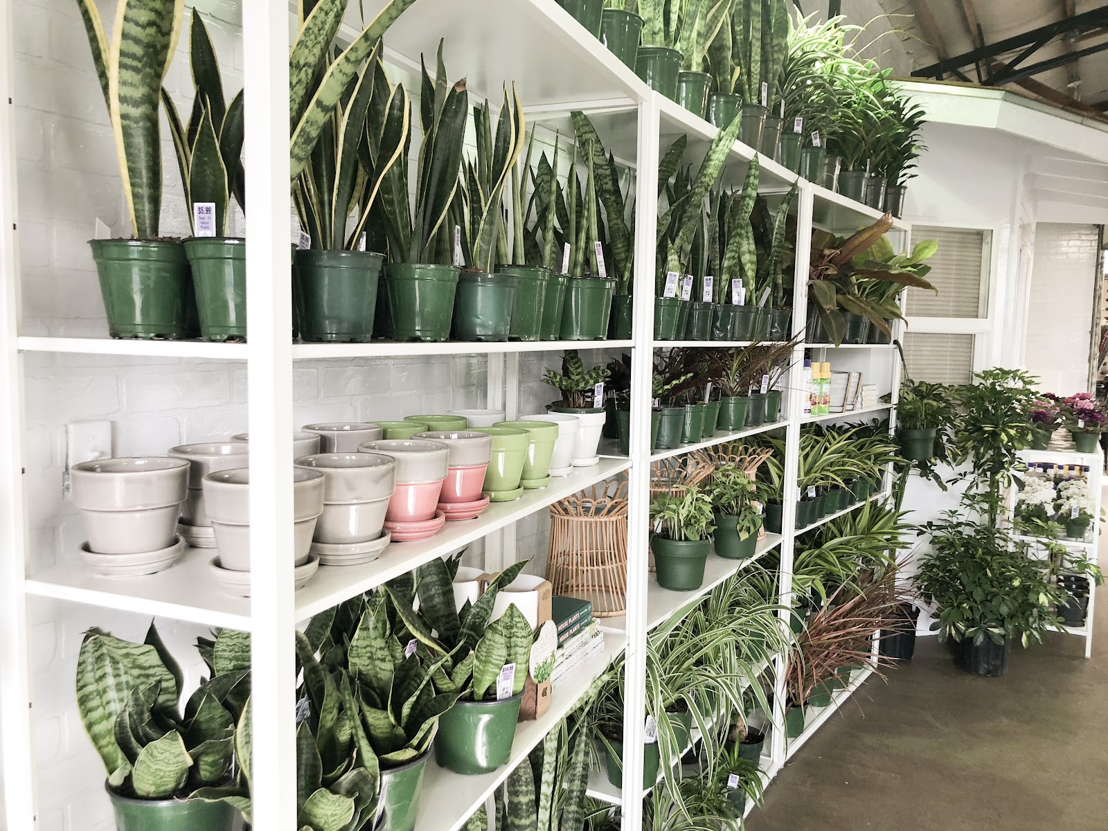 Johnson Brothers Garden Market