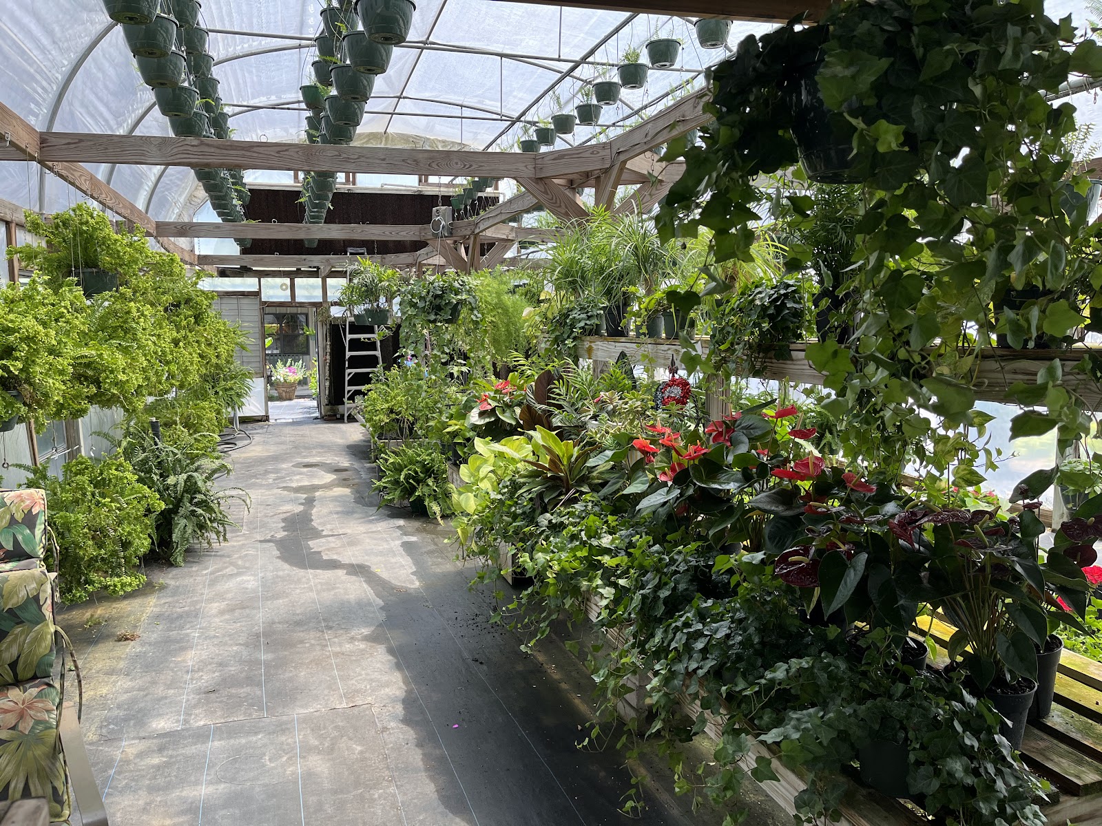 Joiner Creek Greenhouses