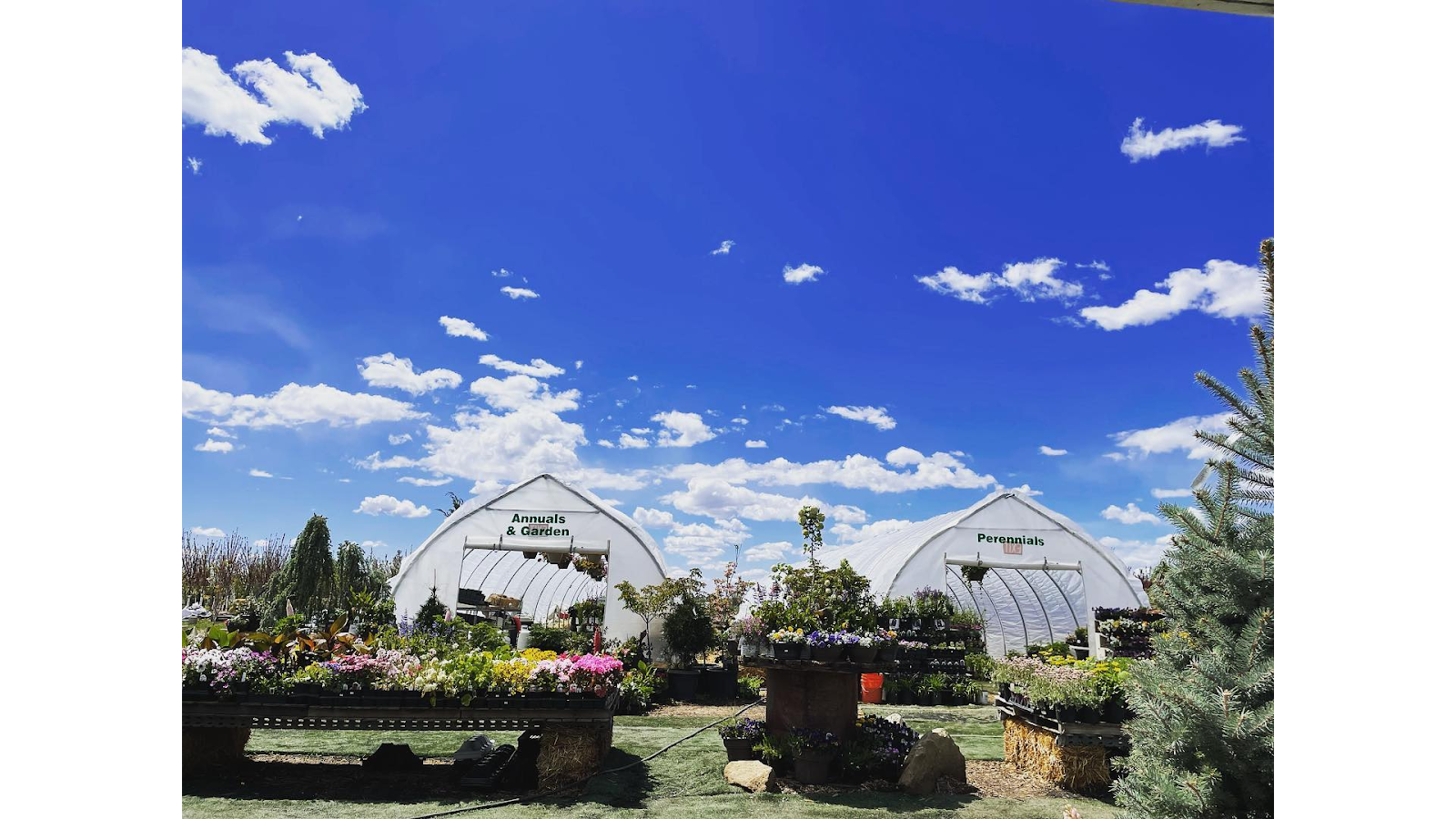 Jordan's Garden Center and Seasonal Market
