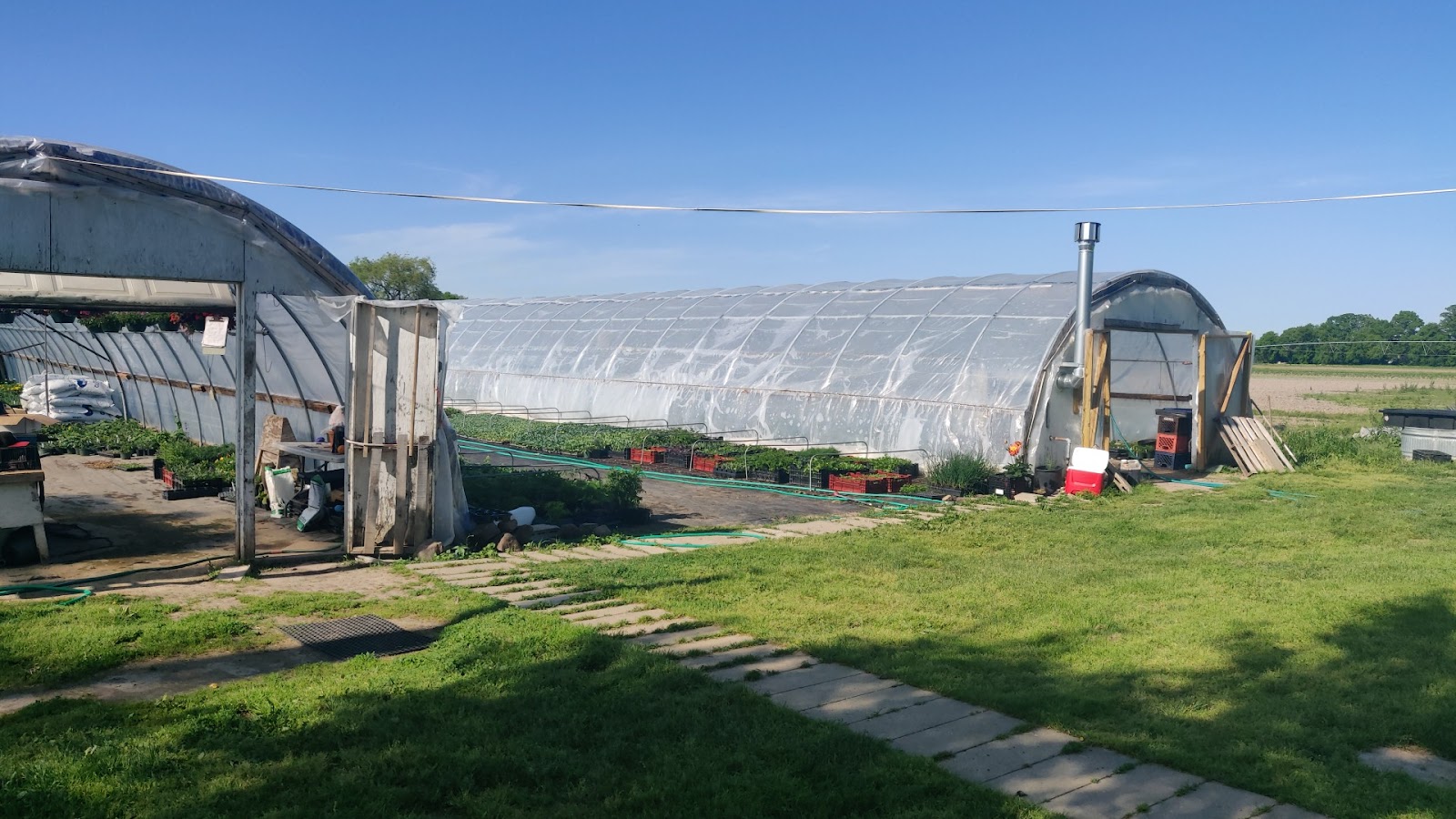 Jose's Greenhouse