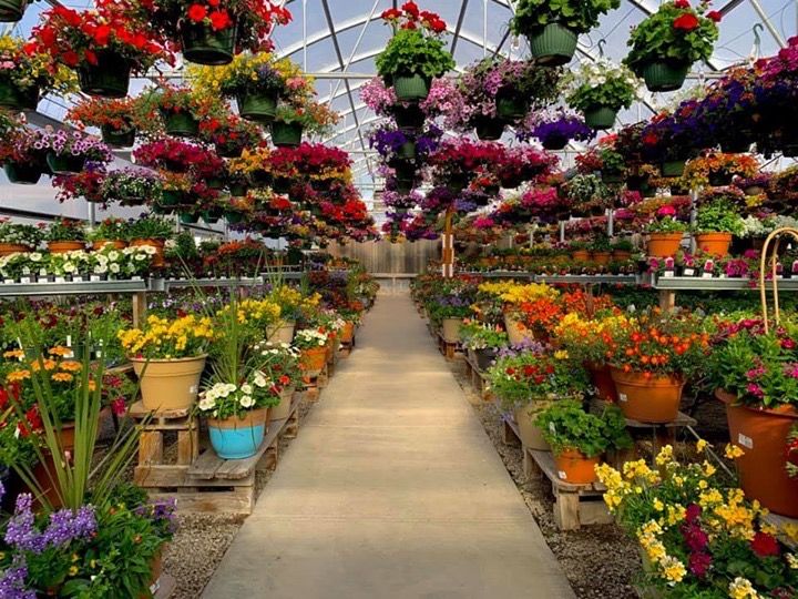 K & S Greenhouse and Nursery