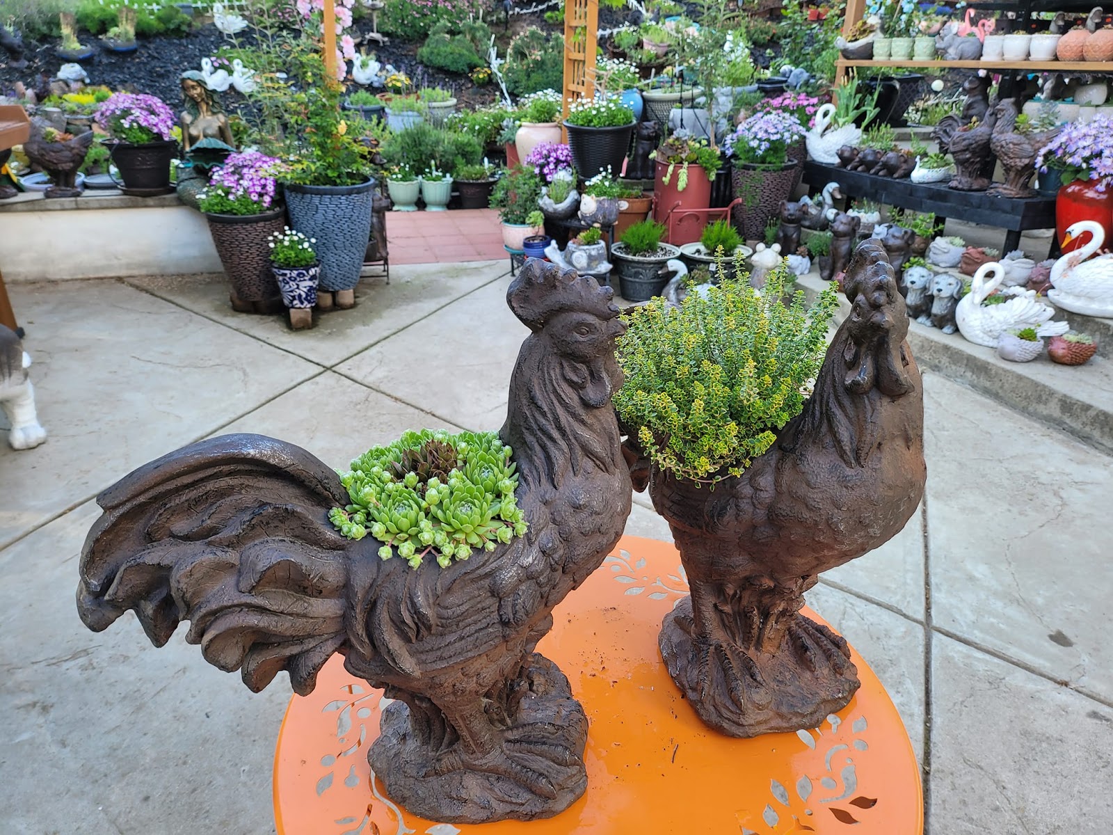 K.Y. Home & Garden LLC