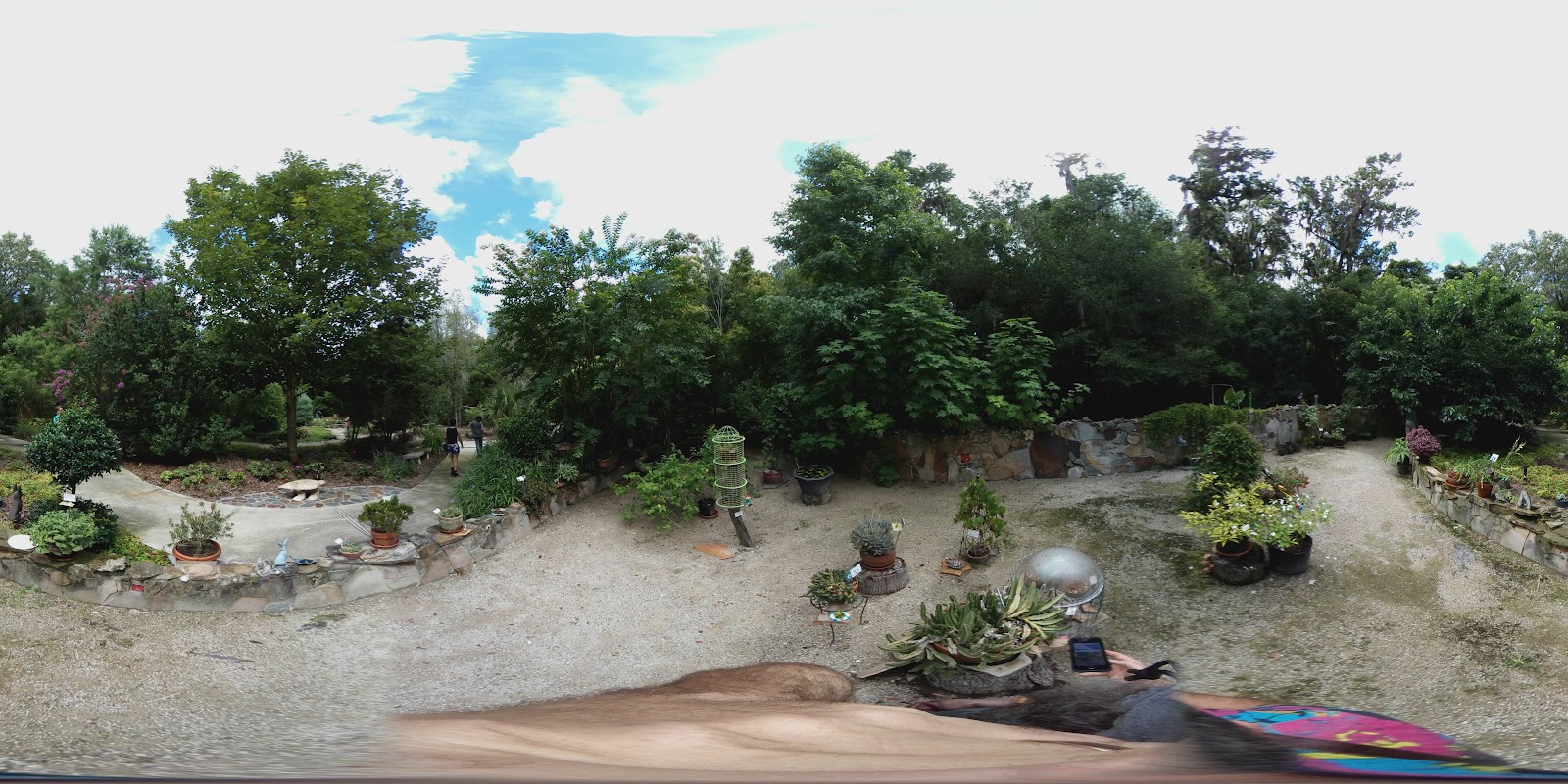 Kanapaha Botanical Gardens