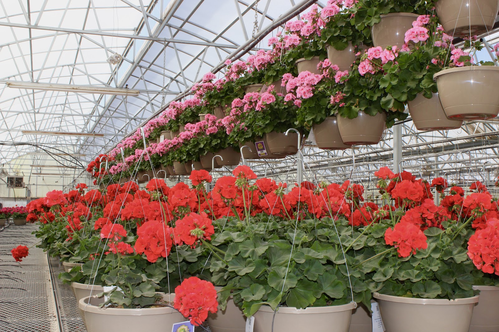 Kaw Valley Greenhouses