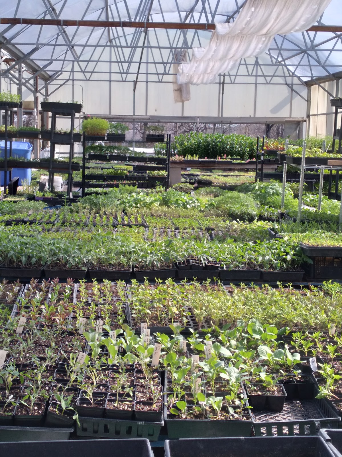 KC Farm School