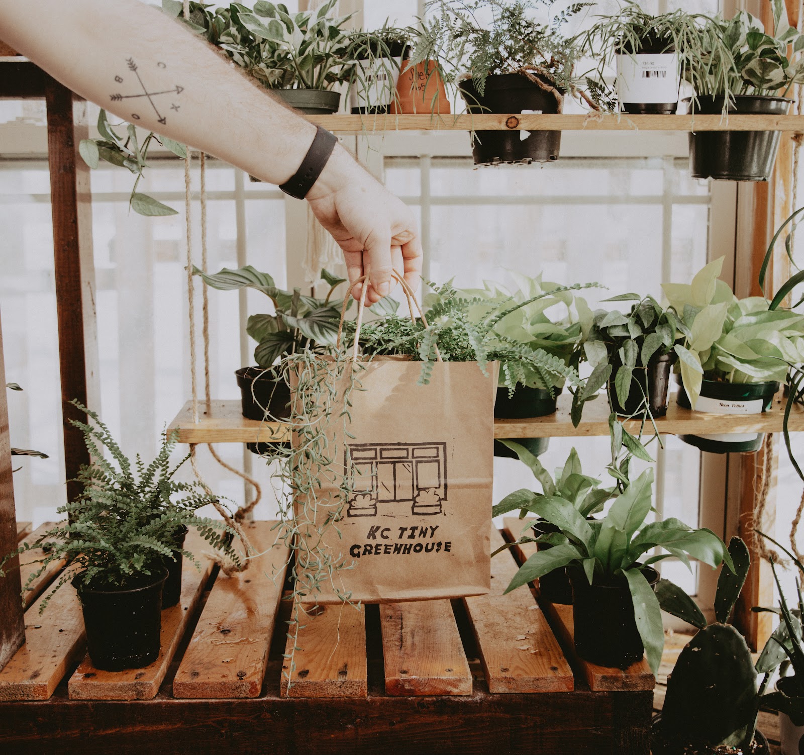 KC Tiny Greenhouse