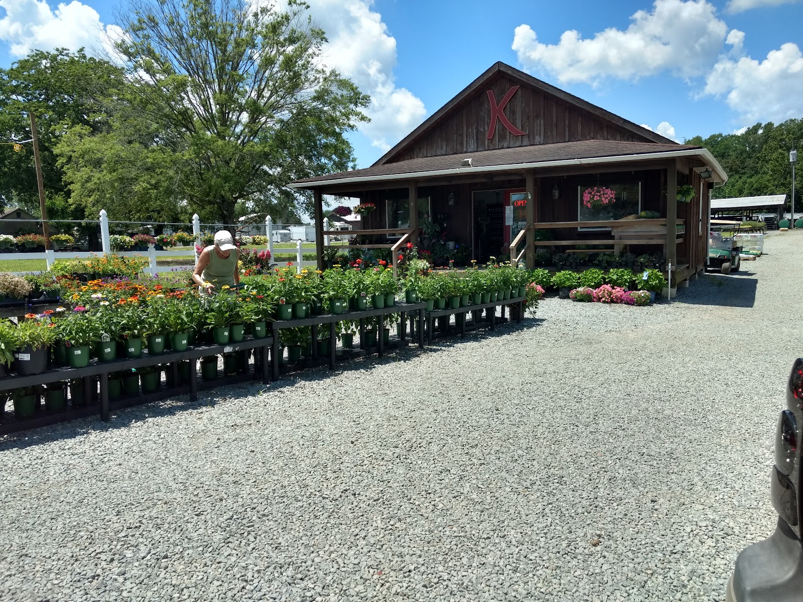 Kellys Nursery & Greenhouses