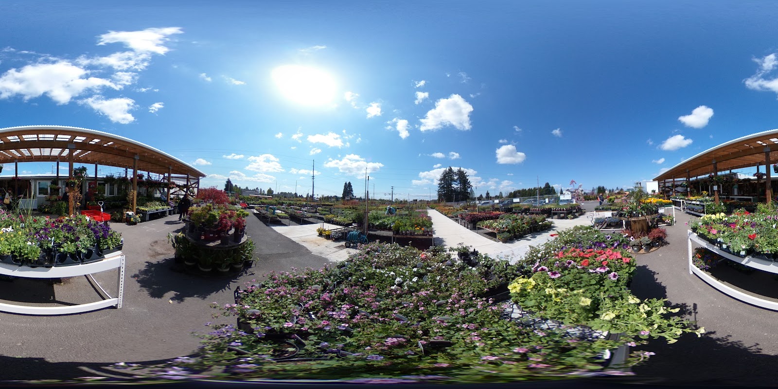 Kent East Hill Nursery
