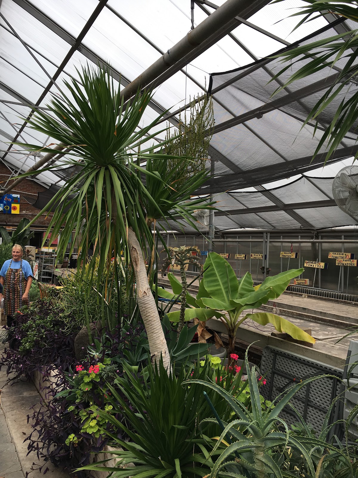 Kilbourn Park Organic Greenhouse