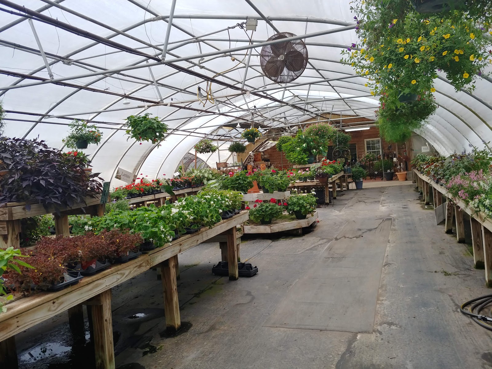 King's Greenhouse