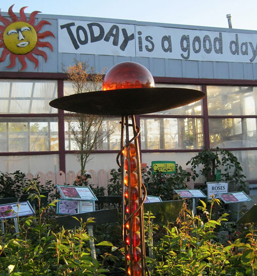 King's Nursery