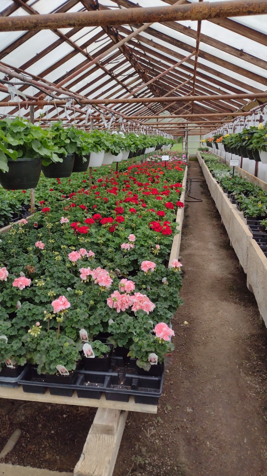 Kitch Greenhouses