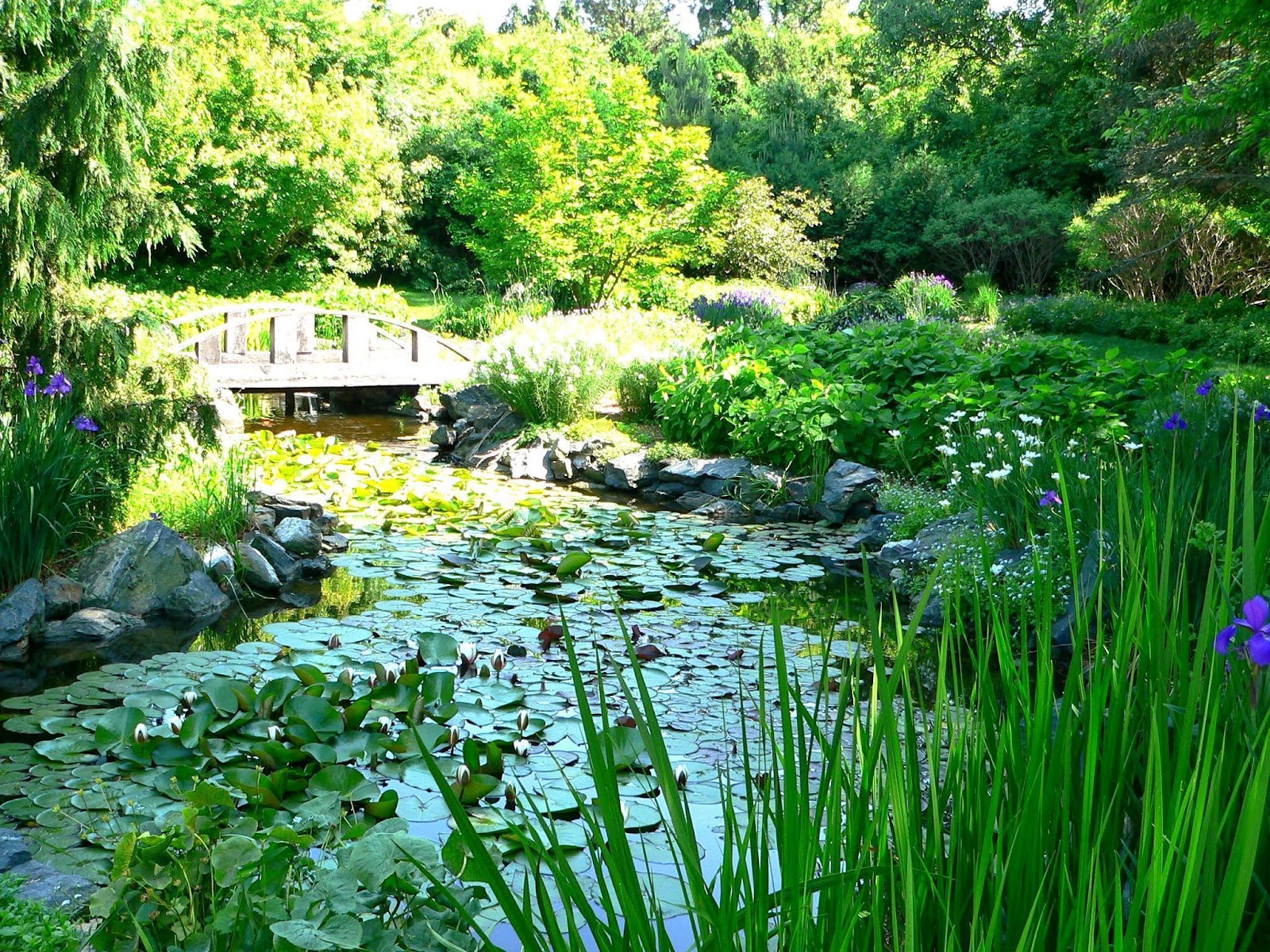 Klehm Arboretum & Botanic Garden