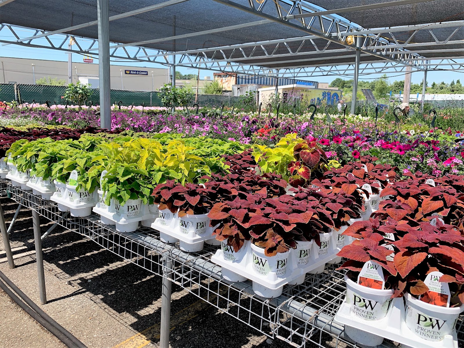 Klein Greenhouse at Building 19