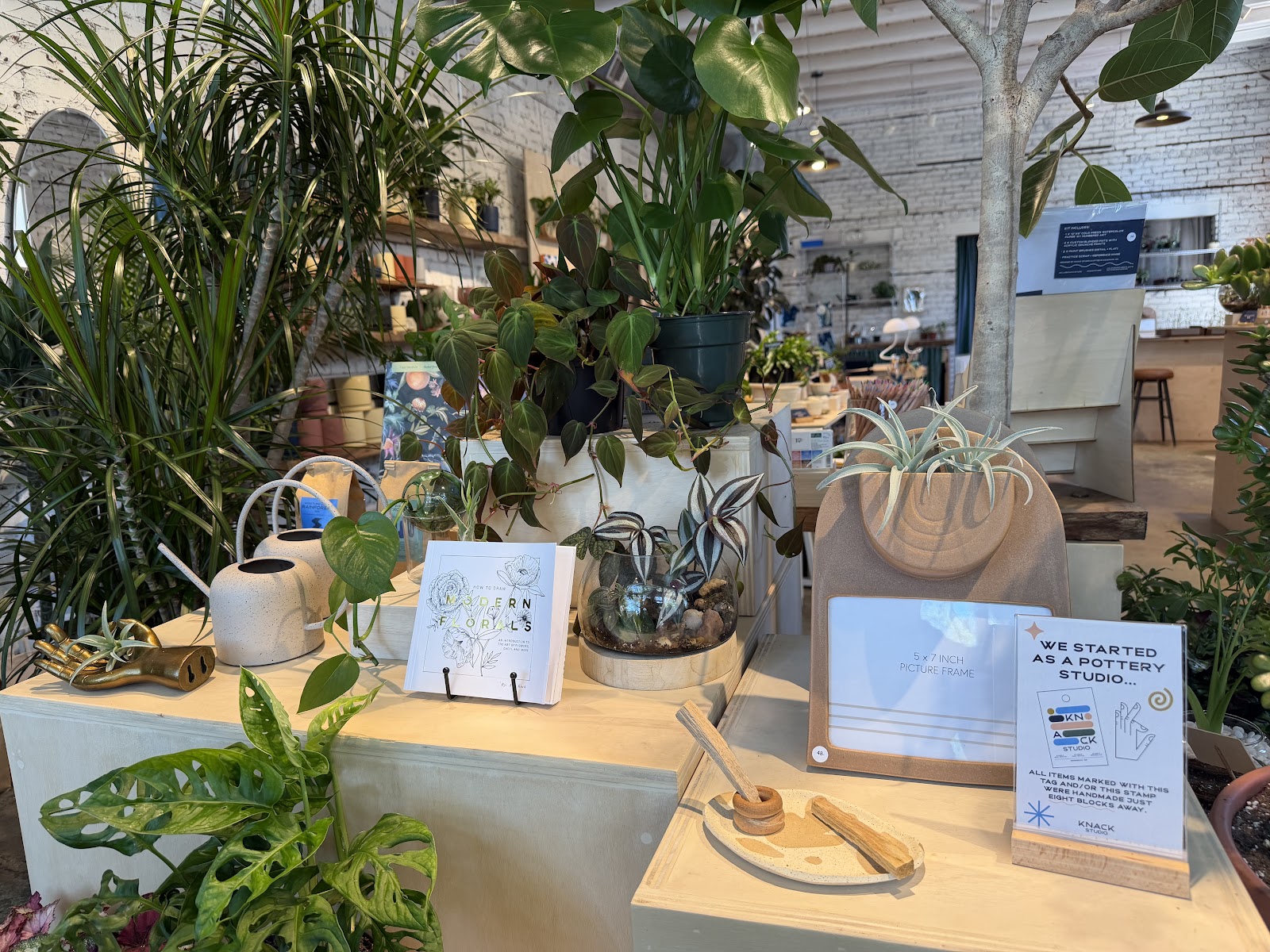 Knack Studio C - Houseplants & Art Experiences