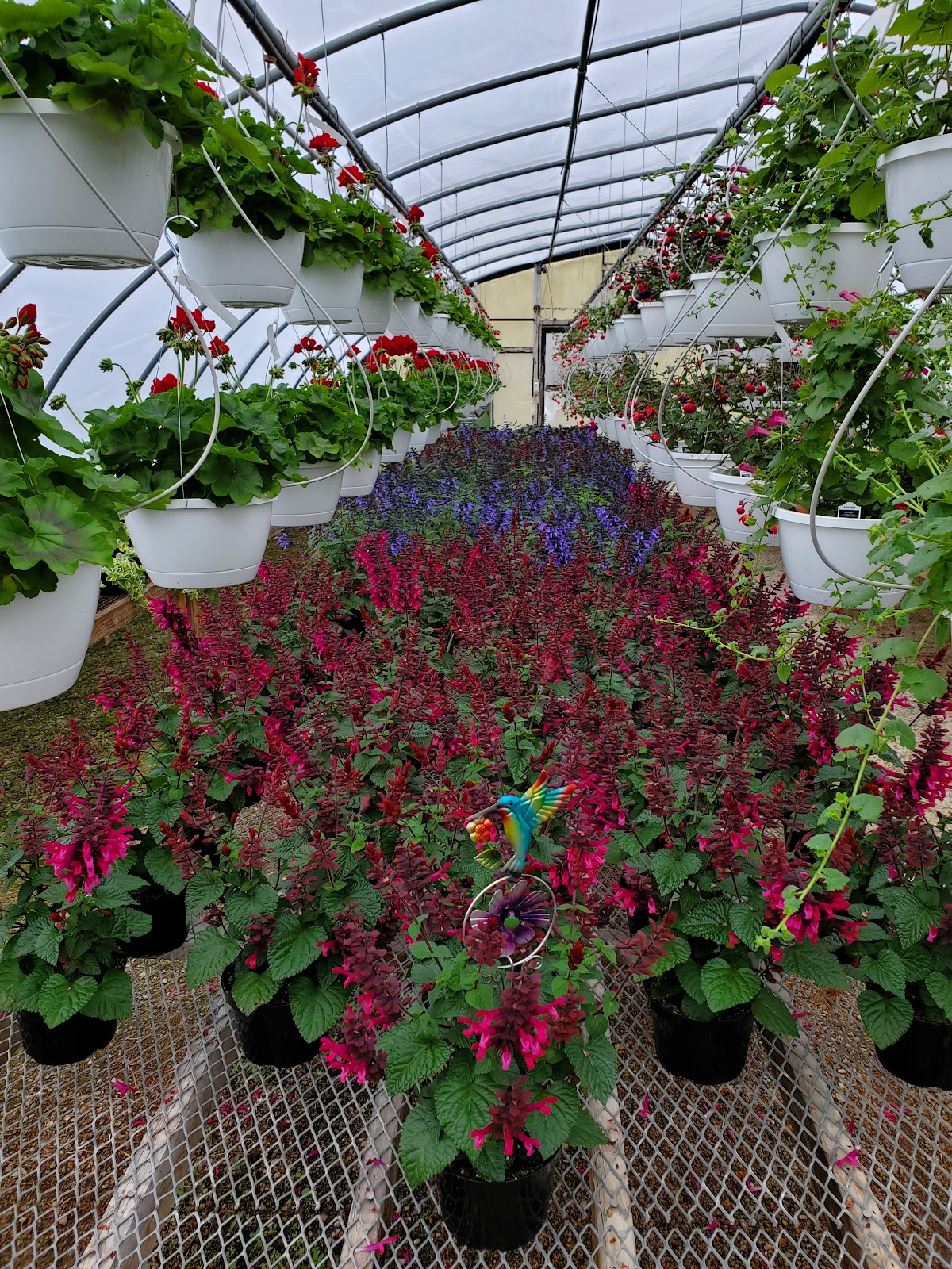 Knitz Greenhouse
