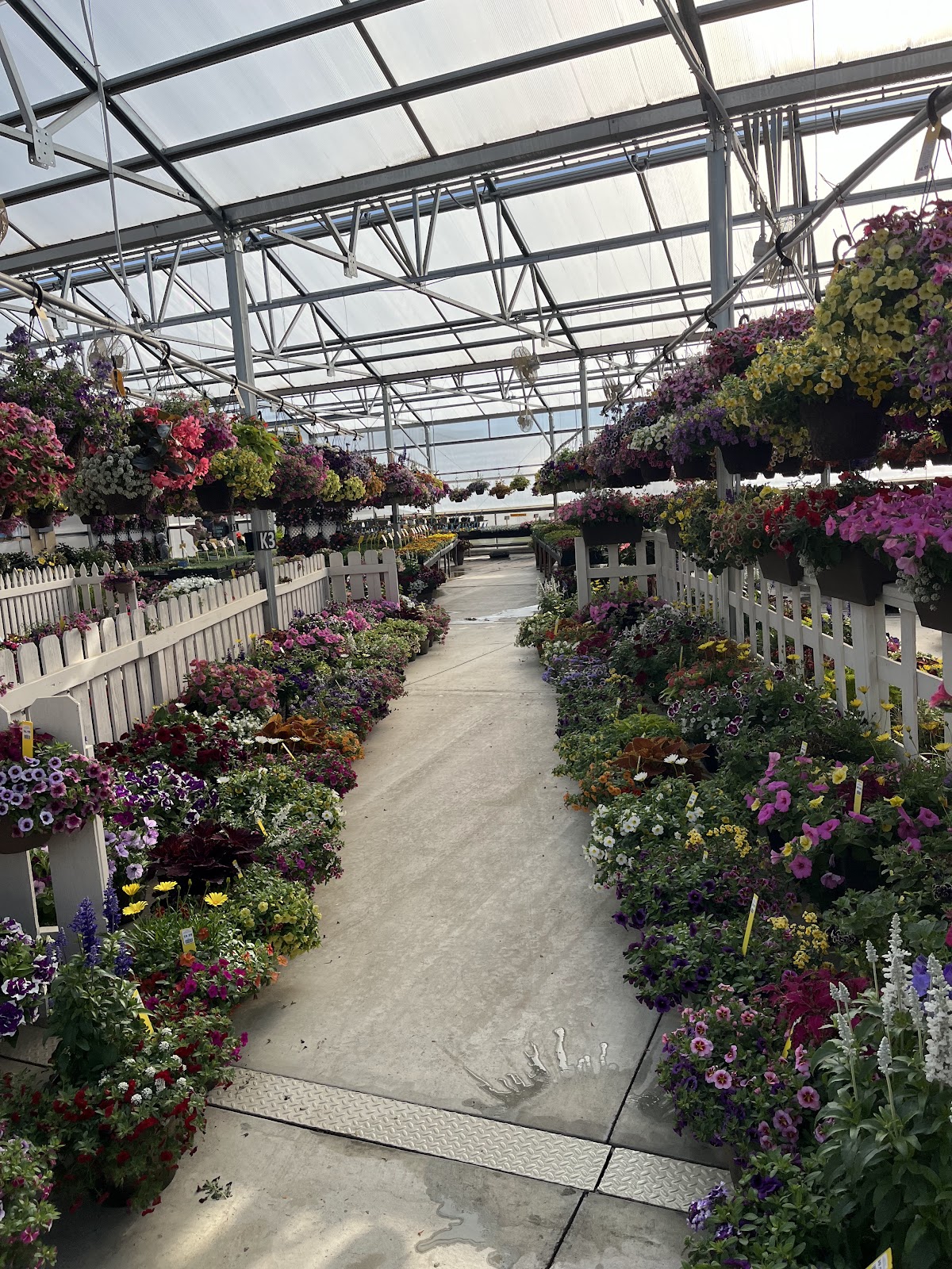 Knobloch's Greenhouse
