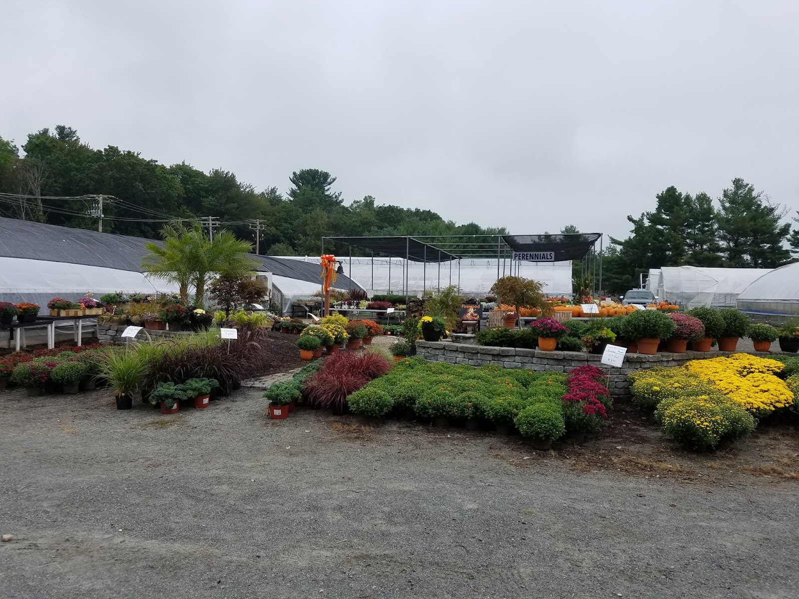 Konjoian's Greenhouses