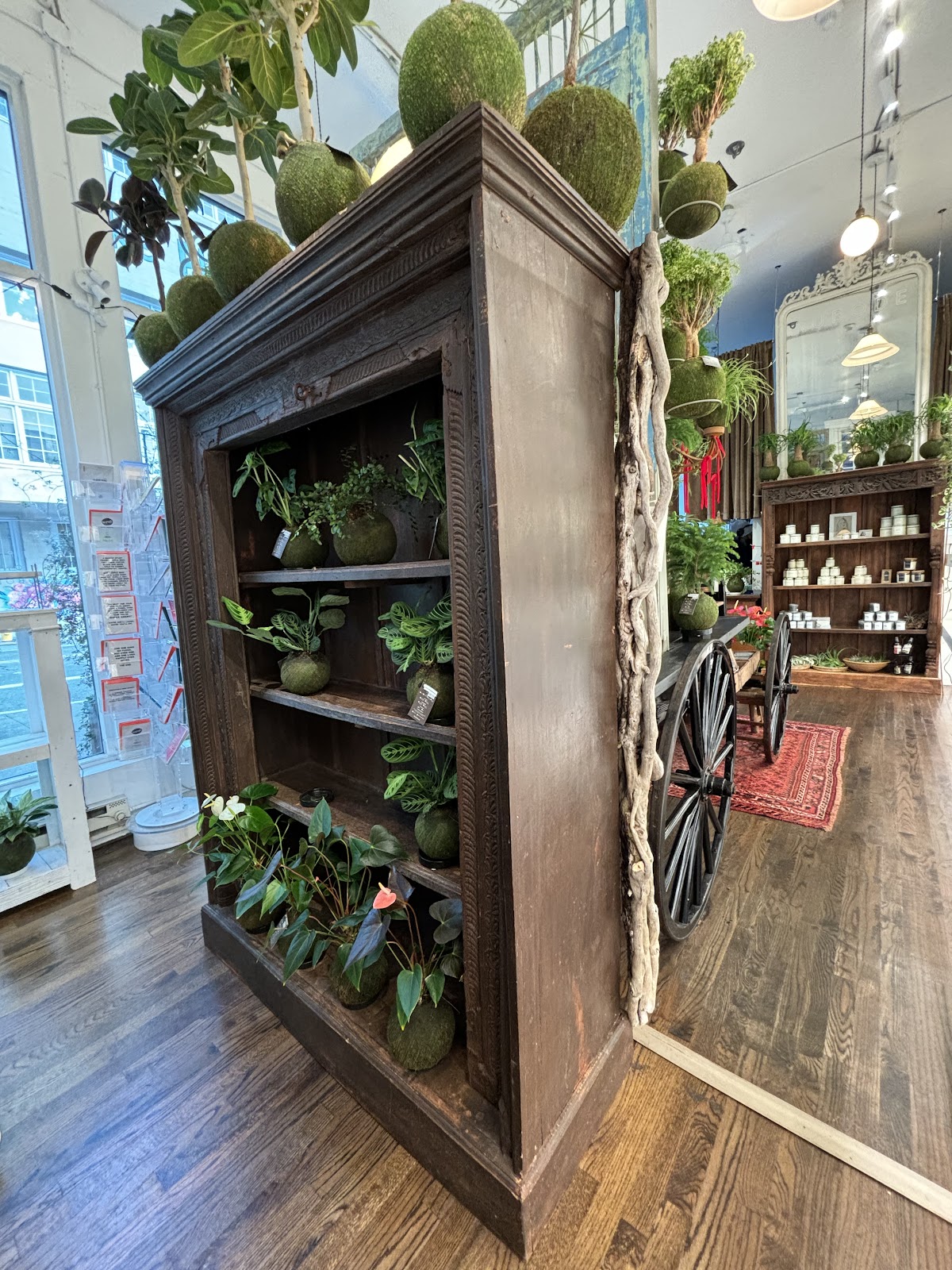 KUBODE Plants & Design