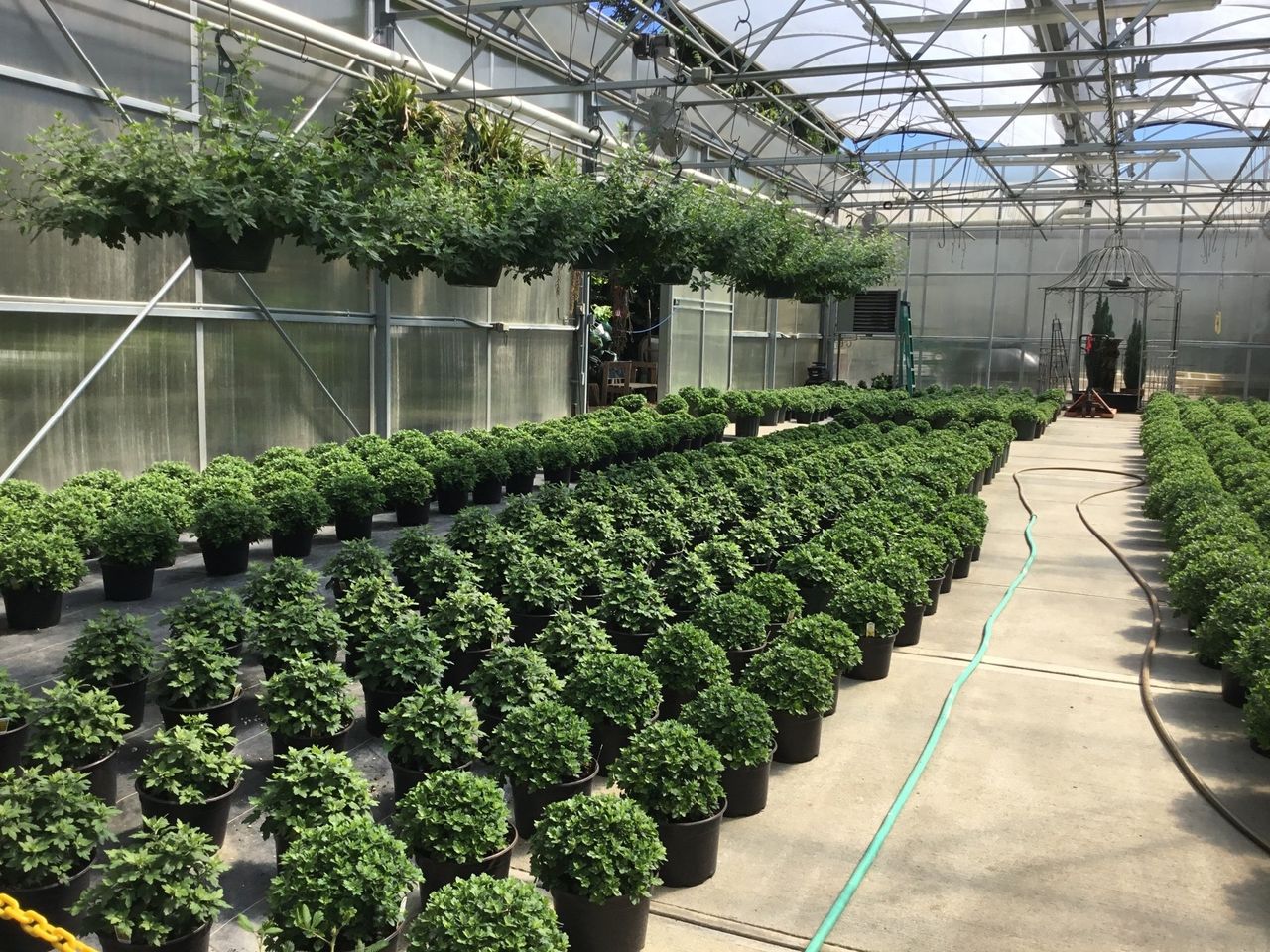 Kunz Greenhouses