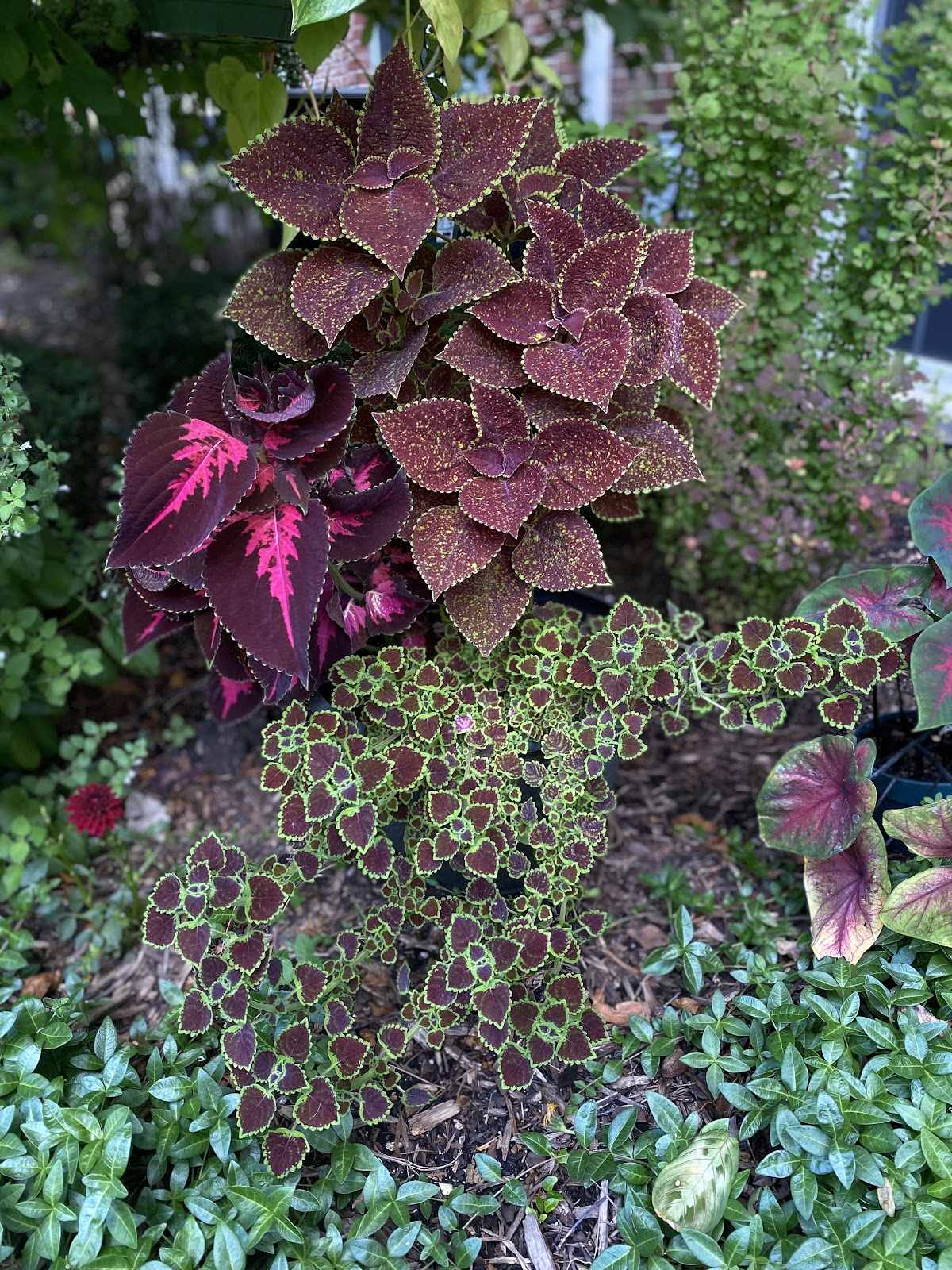 L & M Greenhouses