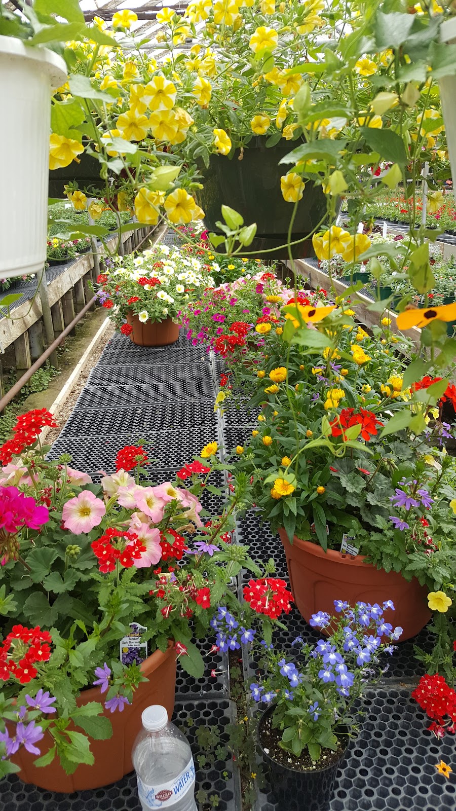 L Ross Florists & Greenhouses